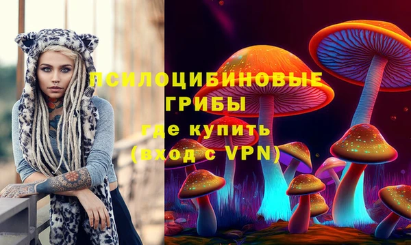дурь Покачи
