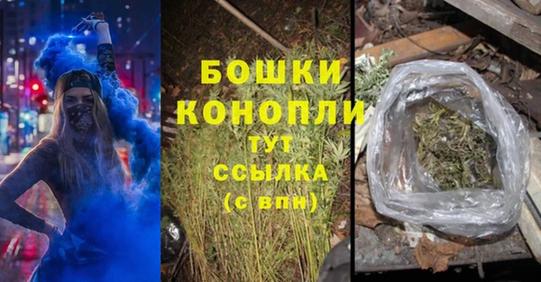 гашик Елизово