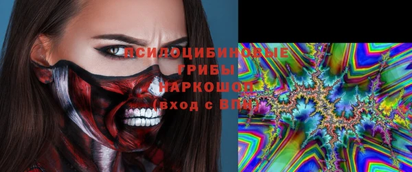 дурь Покачи