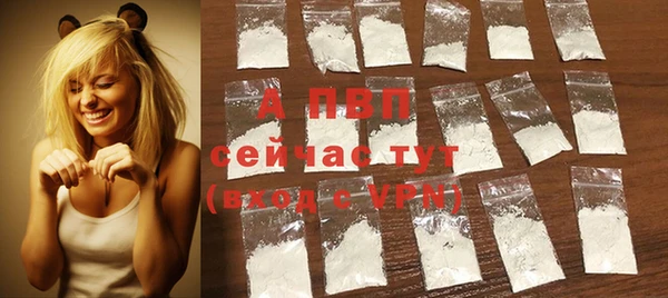 дурь Покачи