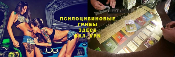 гидра Приозерск