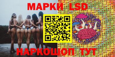 шишки Абакан