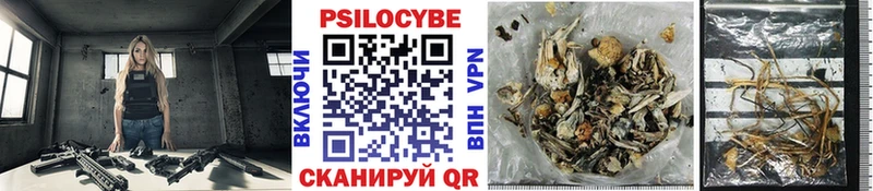 Псилоцибиновые грибы Psilocybe закладки нарко площадка клад Сатка OMG ССЫЛКА