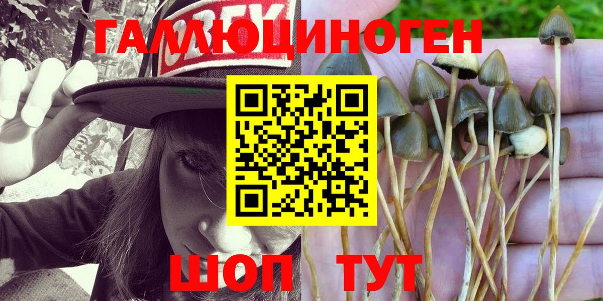Галлюциногенные грибы Cubensis  Вход с VPN  Сатка  Галлюциногенные грибы Psilocybe 