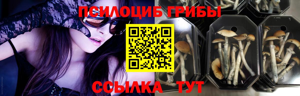 Галлюциногенные грибы прущие грибы Сатка